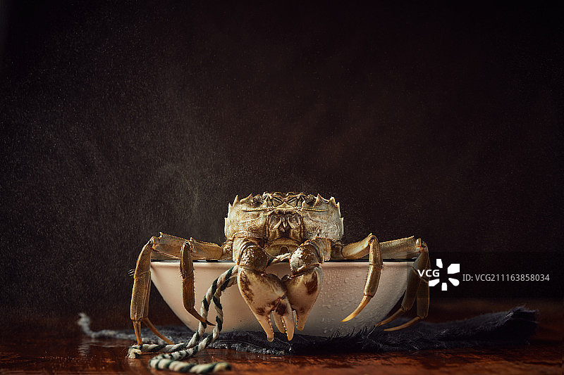 阳澄湖大闸蟹 chinese festival图片素材