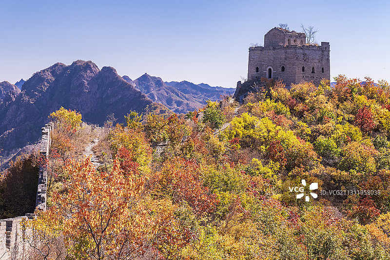 河北秦皇岛：董家品明长城秋色图片素材