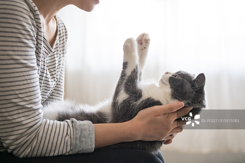 女人在家抱着猫图片素材