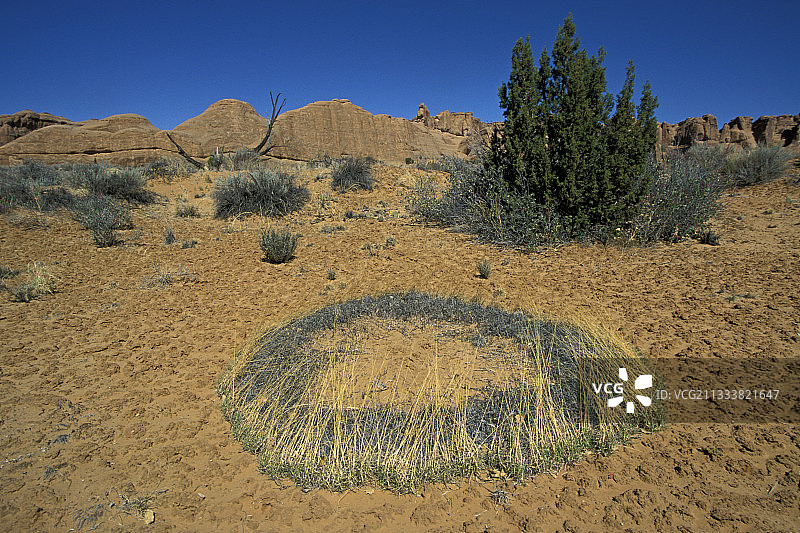赭色干涸地面图片素材