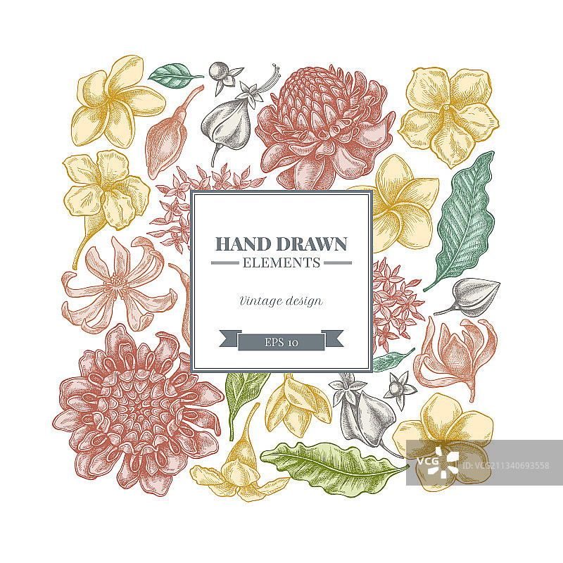 带有粉彩鸡蛋花的方形花卉设计图片素材