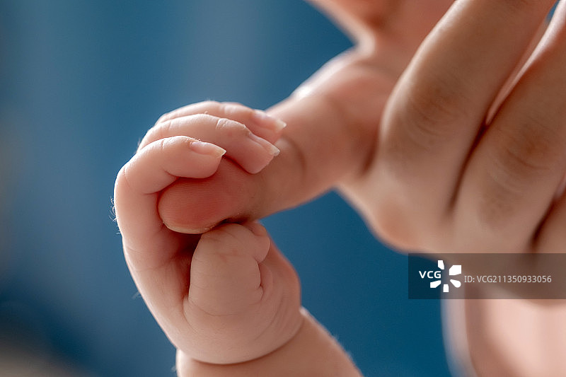 大手与小手图片素材