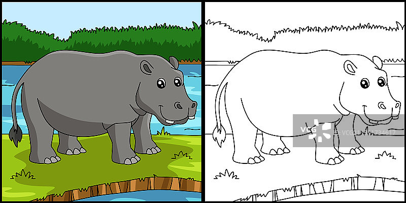 彩色河马涂色页图片素材