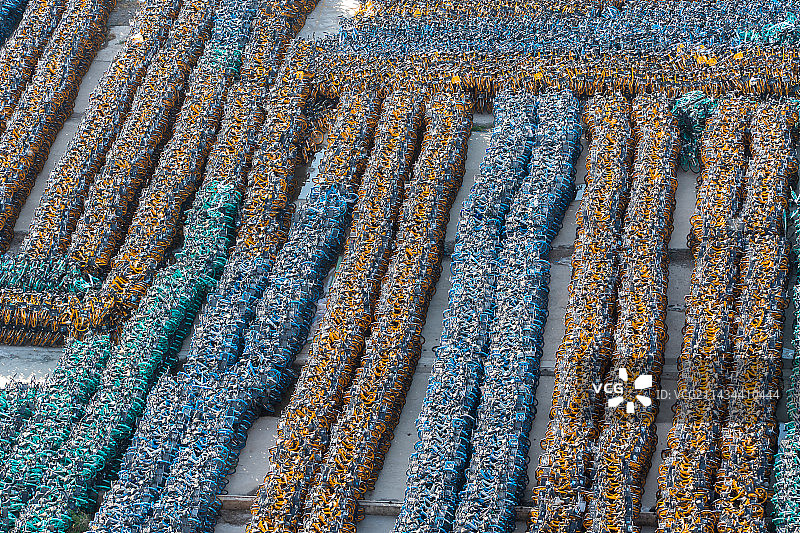 共享单车坟场图片素材