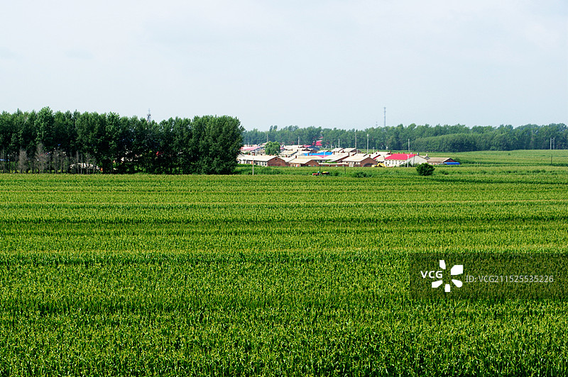 乡村人家图片素材