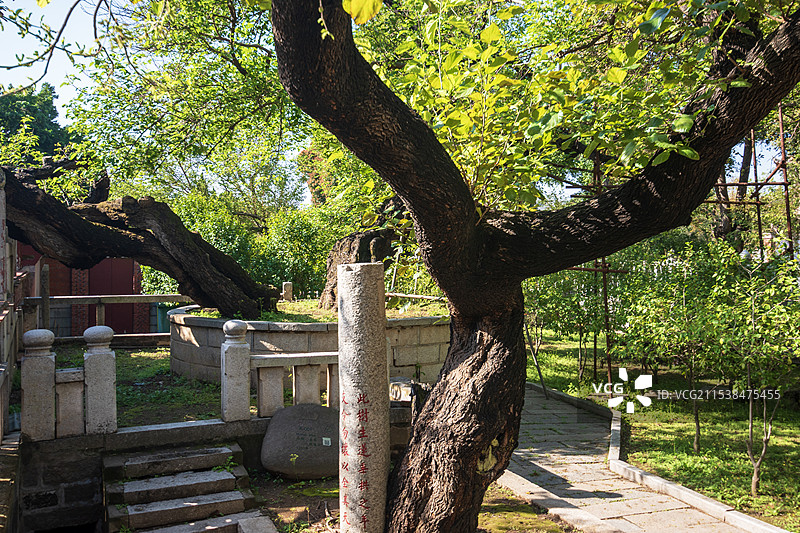 世界文化遗产保护名录：泉州开元寺春景图片素材