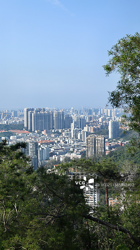厦门金榜山看城市风光图片素材