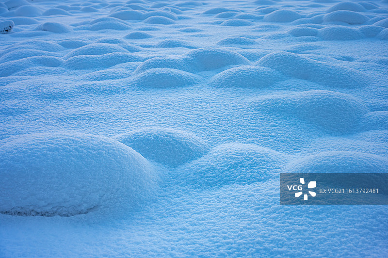 阿勒泰的雪中森林世界图片素材
