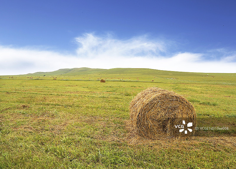 草原丰收草场打草草卷图片素材