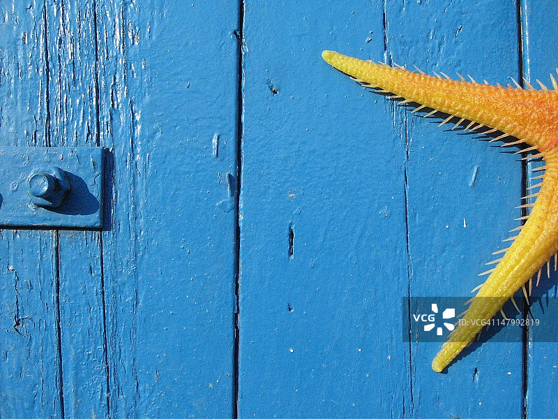 夏季明信片图片素材