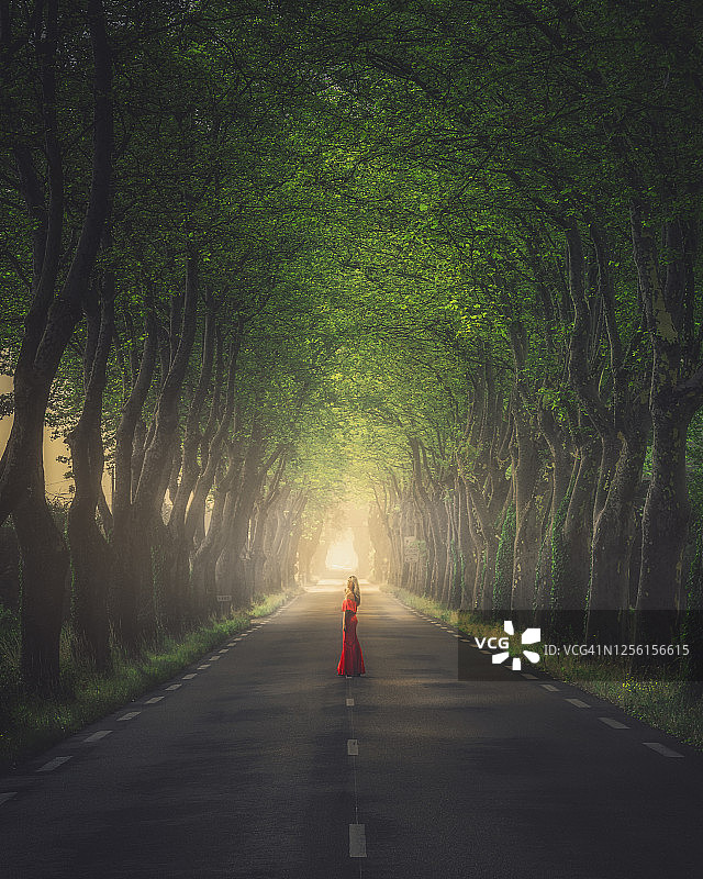 在雾蒙蒙的晴朗早晨，在树木隧道中的道路上的年轻女子图片素材