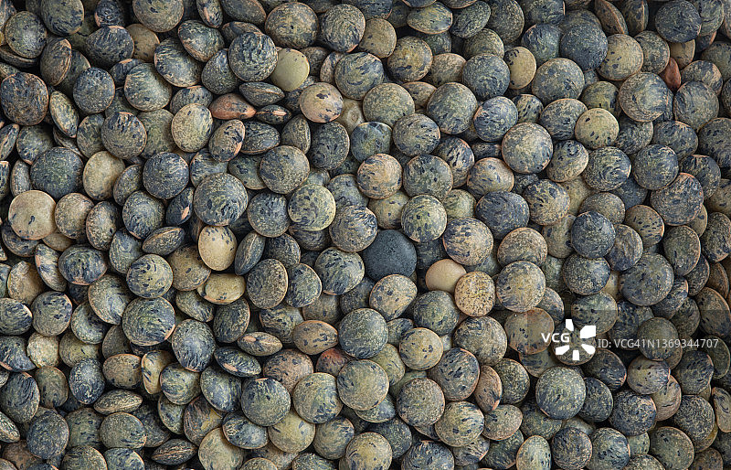 绿扁豆图片素材