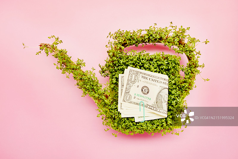 水芹（洒水壶形状）和美元钞票图片素材