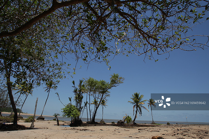 巴西亚马逊地区热浪图片素材
