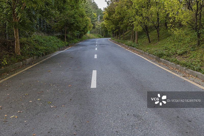 韩国乡村的两车道铺装道路，两旁绿树成荫，远处有监控摄像头。图片素材