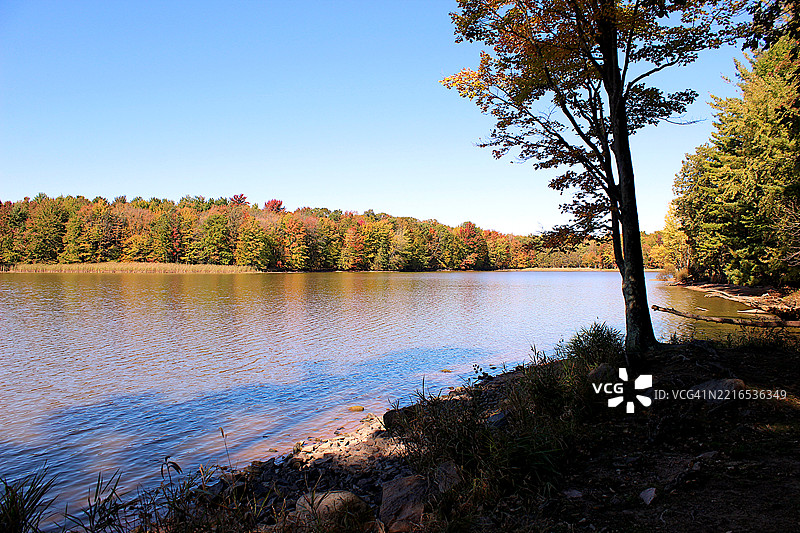 秋季的威斯康星州莫西尼大欧普莱恩湖岸线，树木色彩斑斓图片素材