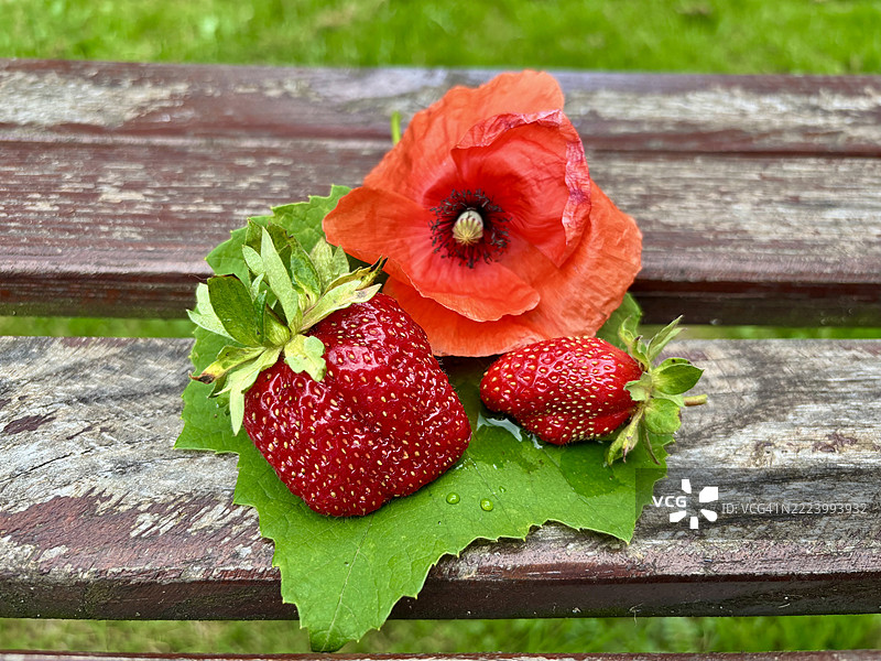 乌克兰桌子上的草莓特写图片素材