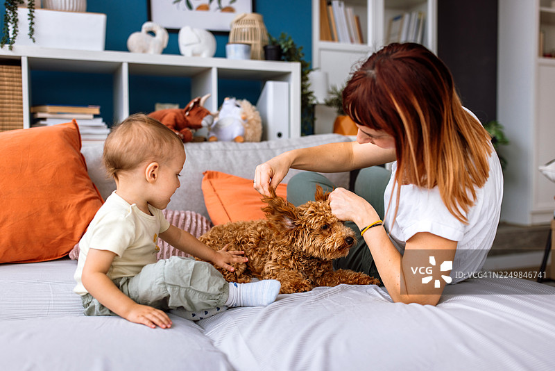 和新宠物玩耍图片素材